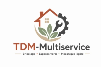 TDM-Multiservice